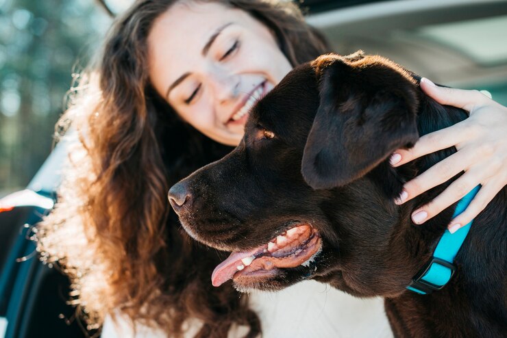 Save Money on Pet Insurance Without Compromising Coverage