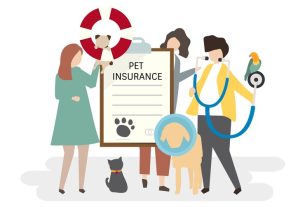 The Future of Pet Insurance Trends and Innovations in 2025