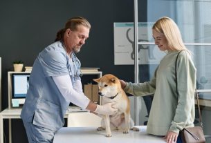 Pet Insurance Protecting Your Pets Health